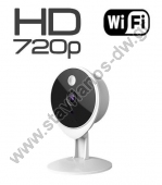  FC1405P  Mini IP  720p    micro-sd 
