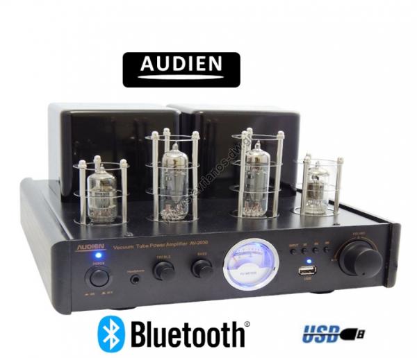       2 x 15W RMS AV-2030 